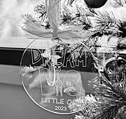 Dream Big Little One sets fundraiser
