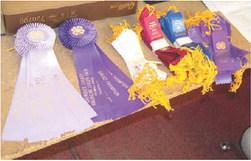 After working all year on various projects, local 4-H members present them at the Cherokee County Fair. Ribbons are awarded based on whether the projects met specific criteria.