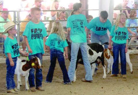 Fair Buddies takes place Wednesday night of Fair Week. After the awards and 4-H coronation, youngsters who have never shown an animal are mentored by an experienced showman to exhibit a sheep or goat in the arena.