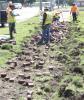 City removes brick sidewalks