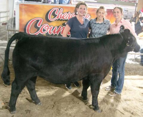 For the fifth consecutive year Spring Valley Sparklers 4-H Club member Samantha Ohmart, the daughter of Bub and Angel Tate showed the top Feeder Calf that went through the premium sale. This was the second year in a row she showed the Grand Champion and received a $2,100 premium from this year Sally Davis Real Estate.