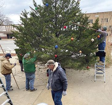 After selecting the perfect tree