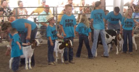 Fair Buddies returned this year pairing an experienced 4-Her with a novice showman to teach the youngsters the basics of showing in the arena.