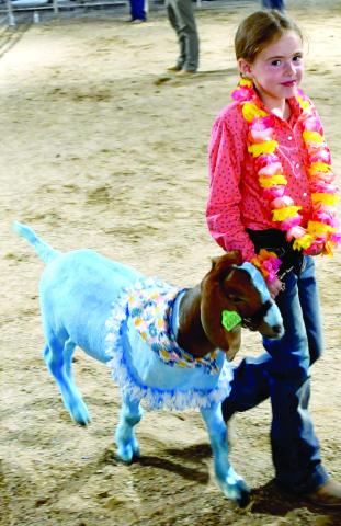 Elizabeth Gregory-Taylor and her goat Stitch competed in the Round Robin event during the Cherokee County Fair. Stitch brought $2,100 in the Premium Auction paid by Roger Draeger.