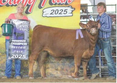 Reserve Champion Feeder Calf sponsored by Merle Ross Family went to Braun Stone.