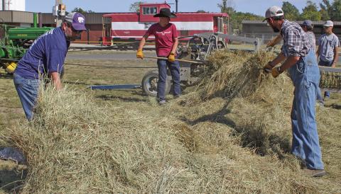 Getting the hay ready to load into the baler would take considerable time even with several workers assisting.