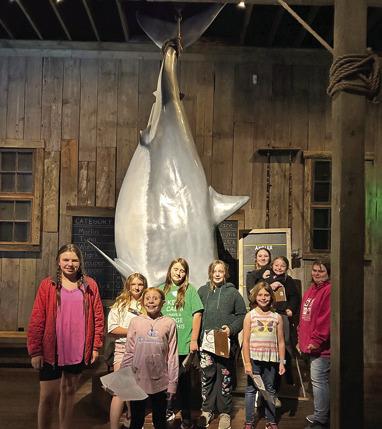 Girl Scout Troop 71303 