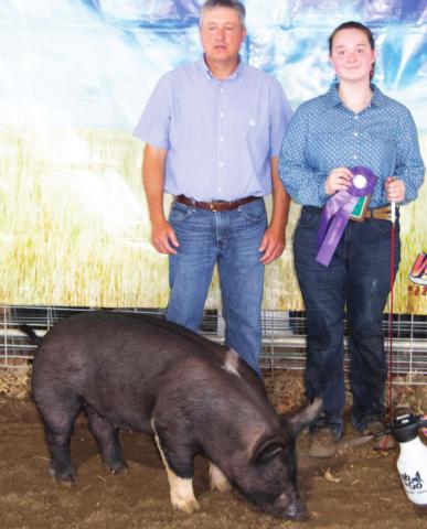 Swine show kicks off Wednesday morning fair activities