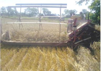 Examples of antique farm equipment will be on display at the museum during the Columbus Day Festival. Other antique items will be on display along Pine Street east of Kansas Avenue. Photo by Harold Depenbusch.
