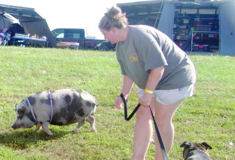 The most unusual pet at the Big Iron Overland Rally held at Big Brutus this Friday and Saturday was this full grown pig which is the pet of Owen and Jennifer Onelan. The Bartlesville, Oklahoma lady said the value of this porker is “priceless.”
