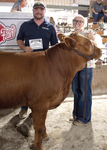 Rylee Heistand’s Grand Champion Feeder Calf brought in a $1,700 premium during the livestock auction at the Cherokee County Fair. The premium was paid by CrawKan Telephone Cooperative, represented by Nick Bole. Heistand is a member of the Spring Valley Sparkler 4-H club.