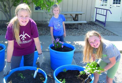 Members of the Cherokee County 4-H Horticulture Club recently spent an afternoon planting pots, planters on the Square and in the Community garden.