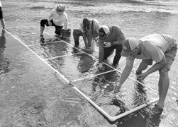 Fisheries and Ecological Services staff at the Kansas Department of Wildlife and Parks are taking action to bolster some of the state’s most at-risk aquatic species.