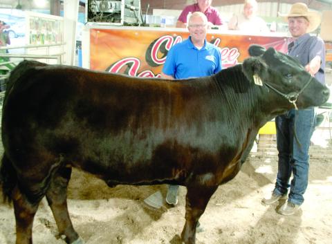 The 2024 Grand Champion Market Beef shown by Columbus FFA member Cole Youngblood at the Cherokee County Fair. The Angus beef was sold in the premium auction for $3,400 to Crossland Construction in Columbus. Youngblood is the son of KC and Courtney Youngblood.