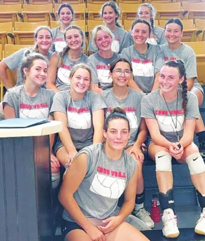 Volleyball in summer league