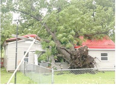 A strong storm tore through Columbus late Monday afternoon breaking limbs and uprooting trees. Damage was done to several homes and structures. Courtesy photo.