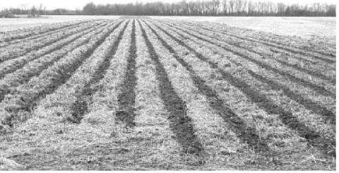 What is the practice of soil conservation?