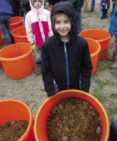 It was a chilly day to plant potatoes
