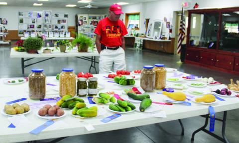 Judges at the fair help entrants hone project skills. Ribbons are awarded based on an ideal standard.