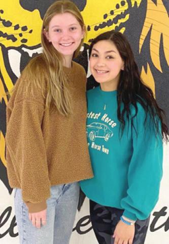 Lady Lions earn postseason honors