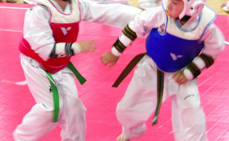 Taekwondo students Klaus Vigil (red) and Thomas Vigil (blue) demonstrate the moves used in the disciplines. Master Taylor Vigil helped the youngsters in the sparring demonstration.