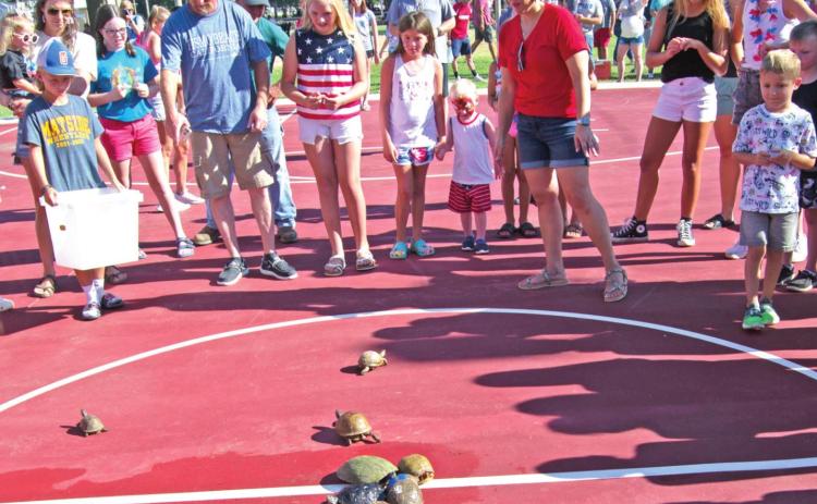 Turtle races drew a large number of entries