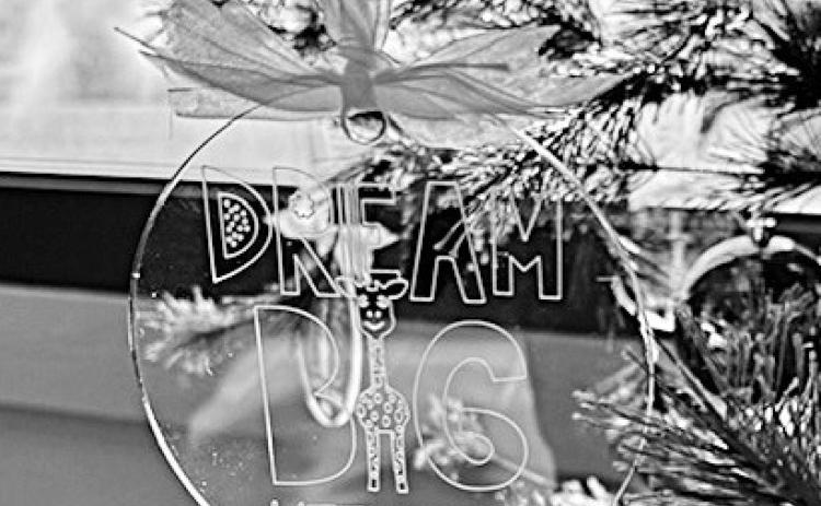 Dream Big Little One sets fundraiser