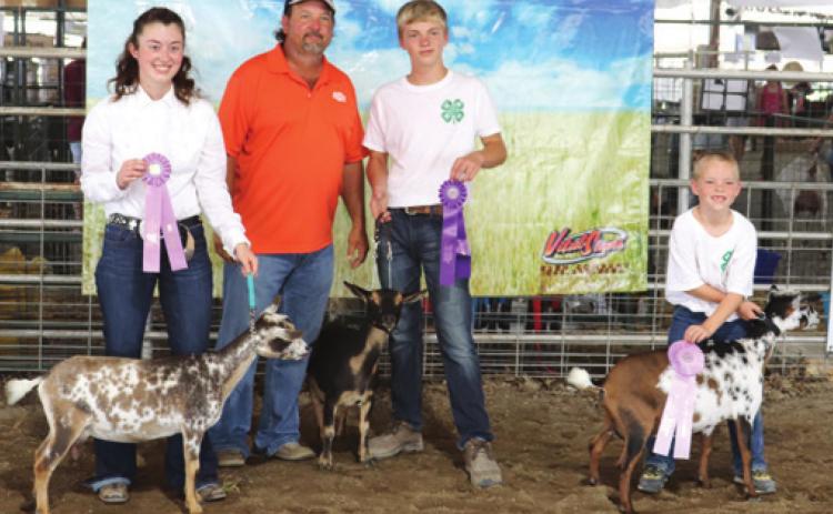 Dairy goats earn ribbons for Cherokee County 4-H members