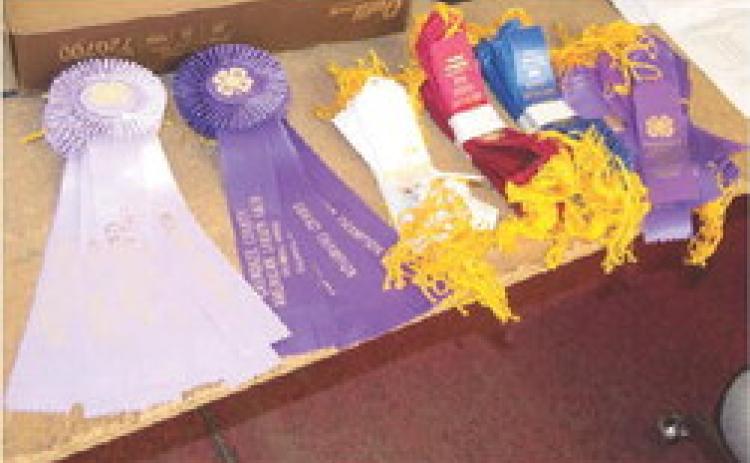After working all year on various projects, local 4-H members present them at the Cherokee County Fair. Ribbons are awarded based on whether the projects met specific criteria.