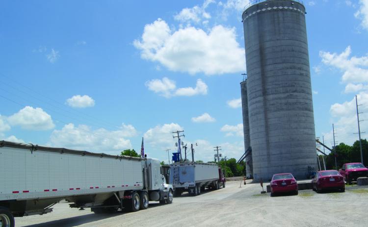 The wheat harvest is underway in Cherokee County as the trucks are lined up at the Columbus Farmer’s Elevator to unload the harvest. Reports of a good crop have been circulating the county.