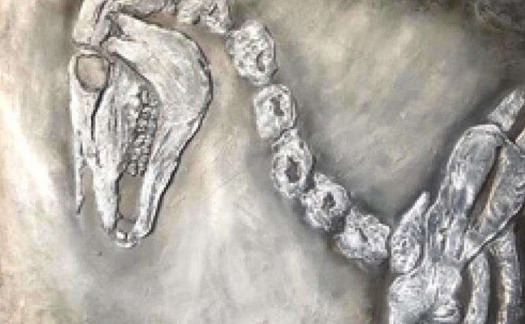 New art show to open at Maple UnCommon