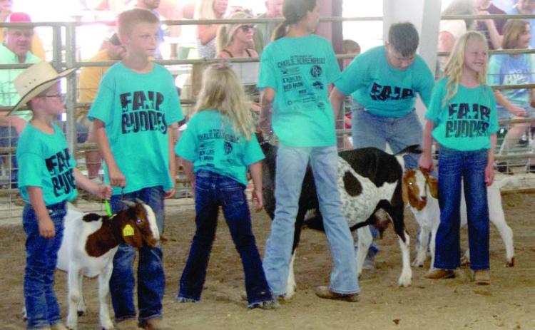 Fair Buddies takes place Wednesday night of Fair Week. After the awards and 4-H coronation, youngsters who have never shown an animal are mentored by an experienced showman to exhibit a sheep or goat in the arena.