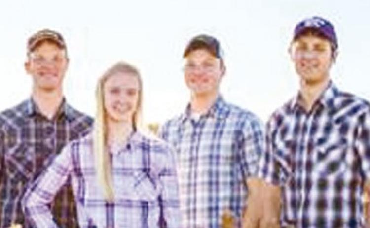 Peterson Farm concert at Weir Baptist Camp