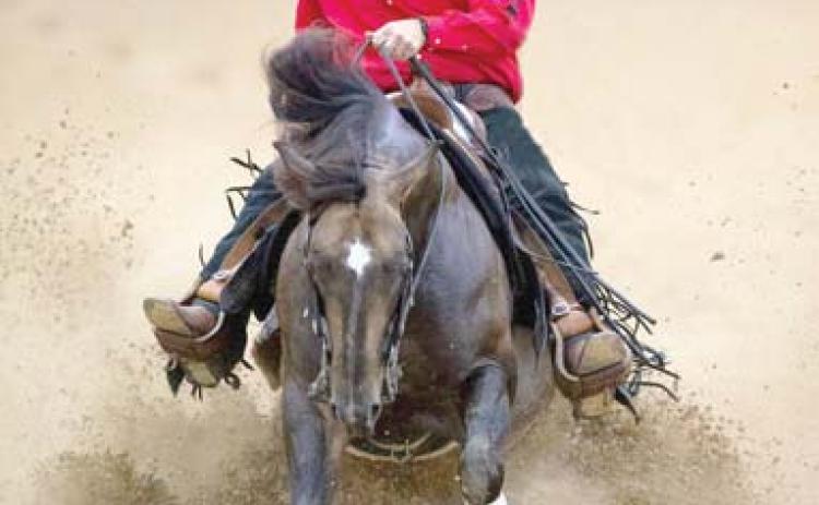 Vanlandingham wins NRHA Million Dollar Challenge