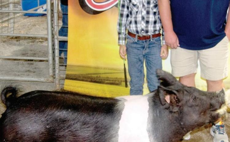 Lone Elm Beavers 4-H Club member