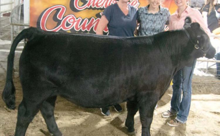For the fifth consecutive year Spring Valley Sparklers 4-H Club member Samantha Ohmart, the daughter of Bub and Angel Tate showed the top Feeder Calf that went through the premium sale. This was the second year in a row she showed the Grand Champion and received a $2,100 premium from this year Sally Davis Real Estate.