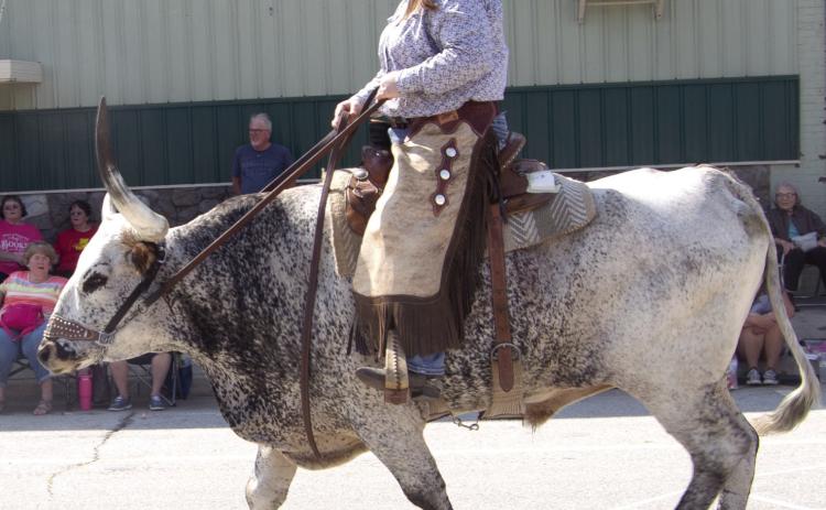 The most unusual attraction of the parade was a giant long horn steer being ridden by Debbie Welch. The animal is owned by Debbie and Les Welch of Columbus.