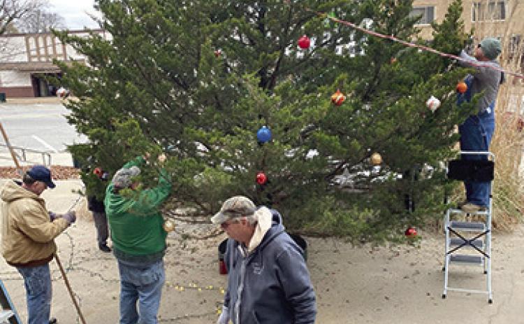 After selecting the perfect tree