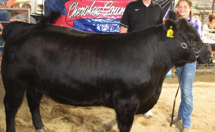 The Grand Champion Beef