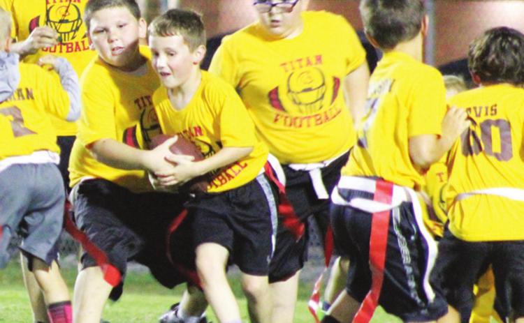 Brady Hale