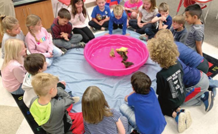 First grade students in Tera Hodgson’s class