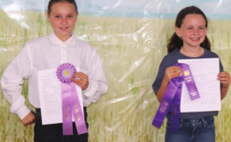 In the Poultry Junior