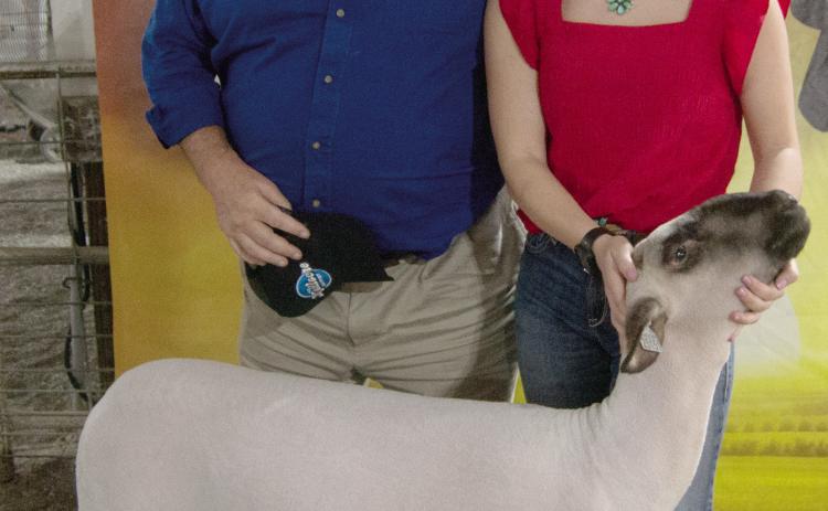 Heritage Youth of America member Emma Duling, daughter of Bill and Ragena Duling, showed her Grand Champion Market Sheep at the auction and received a $2,100 premium from Dr. Rob Herron Dental Clinics.