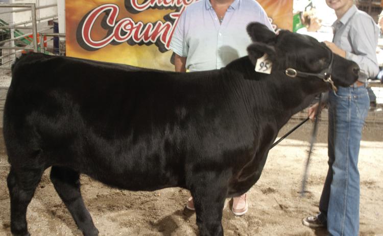 The Grand Champion Feeder Calf