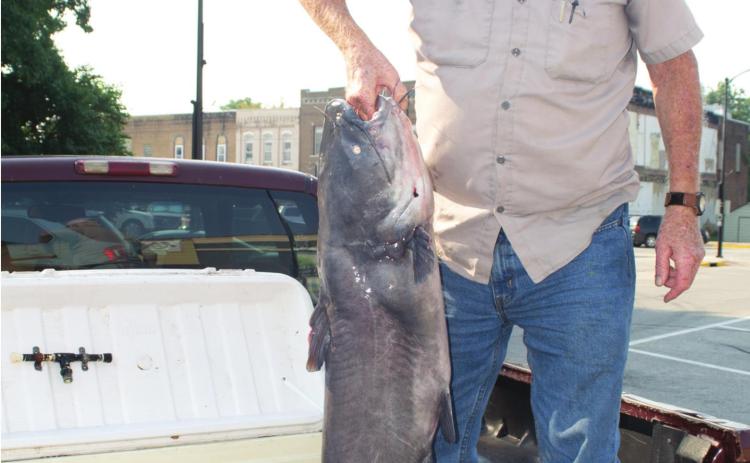 Visitor lands monster haul