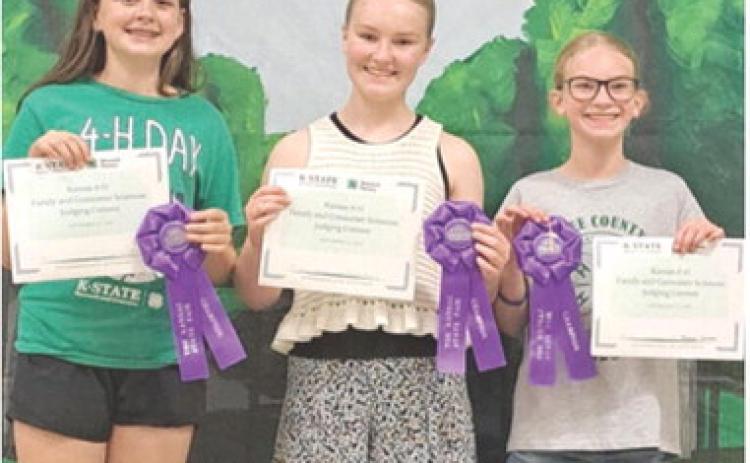 Hadley Holmes, Ryleigh Holmes and Reagan Holmes, members of the Cherokee County 4-H Family and Consumer Sciences (FCS) Intermediate Judging Team brought home top honors from their trip to the State competition. Courtesy photo.