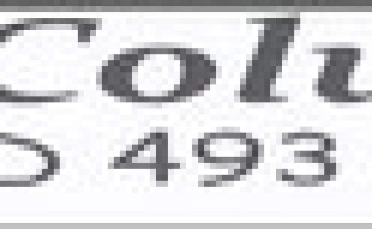 Alt Text for Image