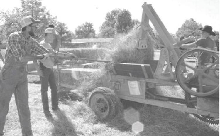 Check out the Farm Heritage Show on East Pine Street off the Square. Many types of antique farm equipment will be on display and perhaps a demonstration or two.