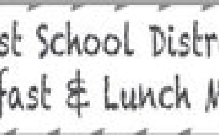 Alt Text for Image