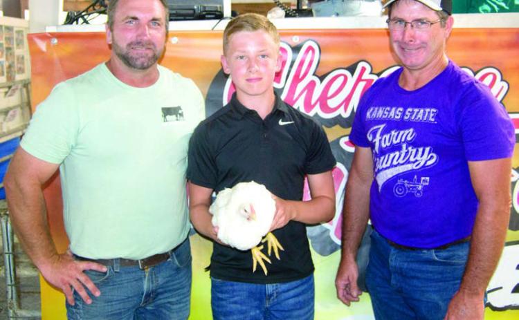 Livestock premium auction promotes learning